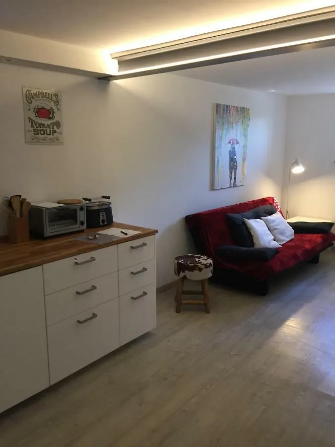 维茨霍黑姆 Studio Birkental酒店